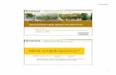 Plant Propagation for Successful Hydroponic Production Propagation for Successful...Hydroponic Propagation Methods Timeline and environmental control for grafting and healing Purdue