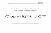 Jacques Marais Copyright UCTgsblibrary.uct.ac.za/ResearchReports/EMBA 13/Marais.pdf · The diagrammatic presentation of the theory is discussed in detail in chapter 5. A basic level