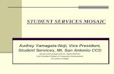 STUDENT SERVICES MOSAIC - accca.org 101 handouts 2009/Yamagata-Noji.pdf · STUDENT SERVICES MOSAIC Audrey Yamagata-Noji, Vice President, Student Services, Mt. San Antonio CCD ...