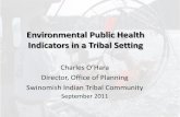 Environmental Public Health Indicators in a Tribal Settingrefine the indicators and assess the current health status of tribal EPH based on the indicators – Rank indicators on descriptive