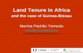 Land Tenure in Africa - ULisboa · 2019-05-14 · Key Concepts in Land Tenure • Tenure defines the relashionships between individuals and groups of individuals by which rights and