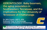 Dr. Britt Cusack, ANP-C, APN Endowed Chair of Gerontology University of Tennessee at ... · 2016-03-07 · Dr. Britt Cusack, ANP-C, APN. Endowed Chair of Gerontology. University of