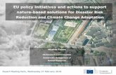 EU policy initiatives and actions to support nature-based ... · Nicolas Faivre DG Research and Innovation Sustainable Management of Natural Resources nicolas.faivre@ec.europa.eu