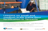 Lessons on small and medium-scale maize flour Pride DSM...Lessons on small and medium-scale maize flour fortification in Tanzania 4 The Millers Pride project looked at three main options