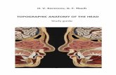 TOPOGRAPHIC ANATOMY OF THE HEAD · Topographic anatomy of the head : study guide / O. V. Korencov, G. F. Tkach. – Sumy : Sumy State University, 2016. – 81 р. ISBN 978-966-657-607-4