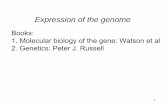 Books: 1. Molecular biology of the gene: Watson et …anisam2.yolasite.com/resources/10nov10lecture13.pdf1. Molecular biology of the gene: Watson et al 2. Genetics: Peter J. Russell