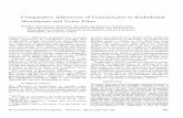 Comparative Adherence of Granulocytes to Endothelial …dm5migu4zj3pb.cloudfront.net/manuscripts/108000/108981/JCI78108981.pdf · Comparative Adherence ofGranulocytes to Endothelial