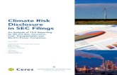 Climate Risk Disclosure in SEC Filings · 2019-12-18 · guidance to ensure robust corporate disclosure of material environmental and governance risks, including climate change-related