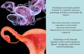 Patologia sistemului genital feminin și a glandei mamare .... Patologia... · Patologia sistemului genital feminin și a glandei mamare, patologia sarcinii și perioadei de lăuzie.
