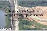 Colluvium in the Appalachian Plateau Physiographic …...THICK COLLUVIAL COVER - COLLUVIAL MASSES DEVELOP HAVING VOLUMES OF SEVERAL MILLION M 3 AND THICKNESS OF UP TO 30 m. MATURE
