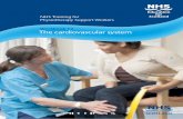 Workbook 12 The cardiovascular system · Workbook 12 Page 3 NHS Training for Physiotherapy Support Workers Workbook 12 | The cardiovascular system Workbook 12 The cardiovascular system