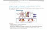 Stabilizing Peri-Stent Restenosis Using a Novel Therapeutic Carrierbasictranslational.onlinejacc.org/content/btr/early/2019/... · 2019-11-27 · Echogenic liposomes (ELIPs) have