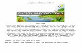 pnhs.psd202.orgpnhs.psd202.org/documents/tlongmir/1538686899.docx · Web viewLongmire Biology Unit 2 Overview Today our global environment is being stressed by many different factors,