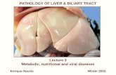 PATHOLOGY OF LIVER & HEPATOBILIARY SYSTEMpeople.upei.ca/eaburto/Liver3/Liver-L3-15.pdfmacrovesicular pattern (chronic, nutritional or metabolic), characterized by large well delineated