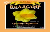 Gallipoli Dawn 2Y-Y Quality Daffodils · 2020-02-05 · for those interested in growing and showing daffodils who wish to benefit from belonging to the daffodil society. Please contact