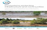 Ecosystems protecting infrastructure and communities · 2017-10-20 · v Ecosystems Protecting Infrastructure and Communities (EPIC) is a global initiative implemented from 2012 to