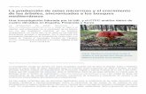 La producción de setas micorrizas y el crecimiento de los árboles, … · La investigación recoge por primera vez datos recopilados durante casi 40 años en España, Suiza y Finlandia;