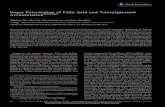 Sugar Potentiation of Fatty Acid and Triacylglycerol ...Sugar Potentiation of Fatty Acid and Triacylglycerol Accumulation1[OPEN] Zhiyang Zhai, Hui Liu, Changcheng Xu, and John Shanklin2