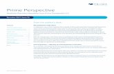 Quarterly Pharmacy Newsletter from Prime Therapeutics LLC...New preliminary audit report In September 2017, Prime implemented a change in their audit reporting. Participating Pharmacies
