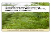 Identifying and Managing Christmas Tree Diseases, Pests ......Identifying and Managing Christmas Tree Diseases, Pests, and Other Problems . PNW 659 ∙ April 2014. ... professor, Extension