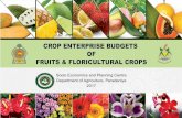 CROP ENTERPRISE BUDGETS...CROP ENTERPRISE BUDGETS With agricultural trade liberalization and structural adjustments of the economy, the focus of agricultural policy has shifted towards