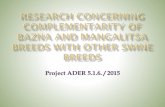 Project ADER 5.1.6. / 2015 · 2019-02-26 · General objective 5. ”Sustainable management of animal genetic resources” Specific objective 5.1. ”Genetic breeding of animal population