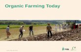 Organic Farming Today - intan.ac.idintan.ac.id/downlot.php?file=presentasi Georg.pdf · Soil Organic Farming Compost Soil Life Organic Farming Soil Tillage