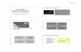 Key element of biological terrain Blood Chemistrymodernherbaleducation.com/downloads/HolisticBloodChemistry6x.pdf · Adaptagens Curcumin Kelp degree of CRP Elevated Homocysteine Vitamin