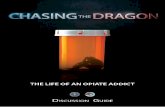 Chasing the Dragon: The Life of an Opiate Addict...Chasing the Dragon: The Life of an Opiate Addict into your school’s curriculum. The opioid and prescription drug abuse epidemic