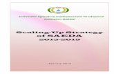 Scaling-Up Strategy of SAEDA - WordPress.com · Scaling-Up Strategy of SAEDA 2013-2015 . January 2013 Sustainable Agriculture and Environment Development Association (SAEDA) 1 ...