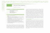 Visual Perception - ChiroCredit...Visual Perception Colleen M. Schneck KEYTERMS Visual perception Visual-receptive component Visual-cognitive component Visual attention Visual memory