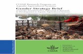 CGIAR Research Program on Aquatic Agricultural Systems ...pubs.iclarm.net/resource_centre/WF_3048.pdf · Research Program on Aquatic Agricultural Systems (AAS) in recognition of the