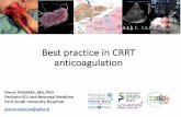 Best practice in CRRT anticoagulation - sfai.se · Best practice in CRRT anticoagulation Pierre TISSIERES, MD, PhD Pediatric ICU and Neonatal Medicine Paris South University Hospitals