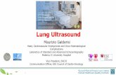 Lung Ultrasound - escardio.org · under mechanical ventilation, such as pneumothorax, ventilator-associated pneumonia, atelectasis and pleural effusions. Lung UltraSound is a useful