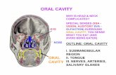 Oral Cavity Lecturef - Educypediaeducypedia.karadimov.info/library/OralCavityLectureff.pdf · oral cavity; you sense what you eat (and avoid being eaten) eye nose oral cavity oral