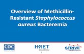 Overview of Methicillin - Resistant Staphylococcus aureus ... · The Organism Methicillin-Resistant Staphylococcus aureus (MRSA) • Gram-positive cocci bacteria that form clusters