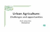 Briz, Julian - Urban agriculture · 2019-06-20 · Prof. Julian Briz PRONATUR. Index 1. State of the art 2. Urban Agriculture: Basic questions 3. Lights and shadows 4. Looking for