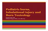 Pediatric burns, Inhalational injury and Burn Toxicology · Pediatric Burns ~1 million/year 50k burns are moderate/severe Majority in < 15 year old patients 2500 burn deaths/year