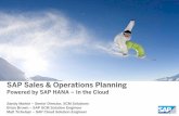 SAP Sales & Operations Planning · 2017-10-17 · TD: Statistical Forecast, Demand Plan, Supply Plan, Capacity Limit and consumption Trade promotions, Opportunities, Targets Market