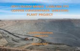 OYU TOLGOI MINES 1,000,000 TPY COPPER CONCENTRATE … FOR INVESTORS(1).pdf · oyu tolgoi mines 1,000,000 tpy copper concentrate smelting plant project investor presentation confidantial