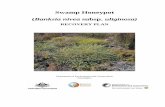 Swamp Honeypot Banksia nivea subsp. uliginosa)environment.gov.au/.../files/banksia-nivea-subsp-uliginosa.pdf · Banksia nivea . subsp. uliginosa . FOREWORD. Interim Recovery Plans