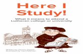 Here I Study!download.elca.org/ELCA Resource Repository/Here_I_Study.pdf · We don’t fear those who are not like us because we know that others have a perspective we might need