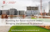 Planning for flood resilient cities – Bringing the promise ... · replace Maeslantkering + Hartelkering replace Hollandsche Ijsselkering option: adjust discharge distribution dike