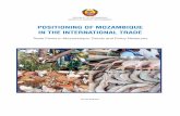 POSITIONING OF MOZAMBIQUE IN THE INTERNATIONAL TRADE · 2019-11-07 · Positioning of Mozambique in the International Trade 2016 iii Foreword This report seeks to analyse the position
