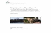 Movement ecology of the golden eagle - SLU.SEstud.epsilon.slu.se/6511/17/nilsson_m_140324.pdf · Movement ecology of the golden eagle Aquila chrysaetos and the semi-domesticated reindeer