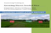 TRAINING COMPLETION REPORT - CSISA · TRAINING COMPLETION REPORT Season Long Training on ... technical and practical know-how about DSR among the agricultural professionals and extension
