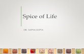 Spice of Life - Manu's Adventuresdrsapnag.manusadventures.com/chemistry/presentations/SpiceOfLife.pdf · Red Chilli –How to use it •Definitely don’t eat it as is!! Unless your