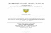 UNIVERSIDAD NACIONAL INTERCULTURAL DE LA AMAZONÍArepositorio.unia.edu.pe/bitstream/unia/78/1/Tesis.pdf · 2017-07-31 · Al Instituto de Investigaciones de la Amazonia Peruana, a