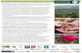 Carmarthenshire Nature Partnership - 2019 Achievements...Carmarthenshire Nature Partnership - 2019 Achievements The Carmarthenshire Nature Partnership is made up of a number of partners