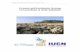 Tsunami and Earthquake Damage to Coral Reefs of …and Earthquake Damage to Coral Reefs of Aceh, Indonesia. Reef Check Foundation, Pacific Palisades, California, USA. 33 pp. For copies